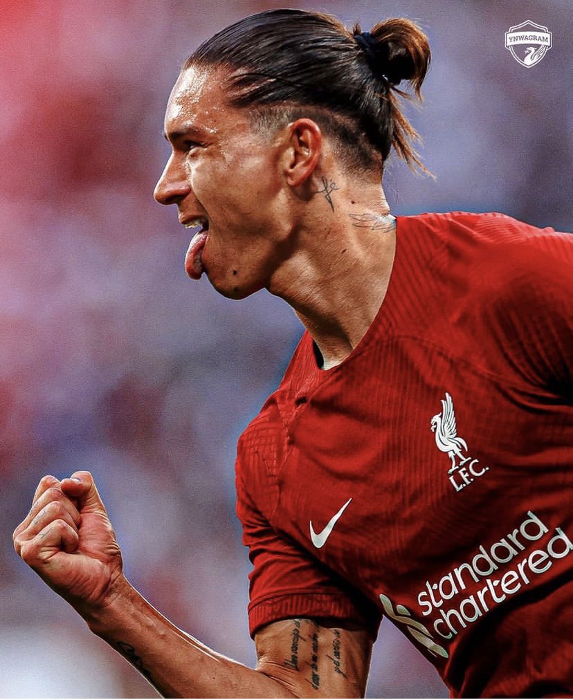 Lubypot's tweet photo. A new star is born. Nunez what a specimen! Liverpool don’t buy bad players. They buy winners! BOOOOOMMMMM🧨💣🧨💣🧨#Nunez #goalmachine #itsjustthestart https://t.co/GmEtu3gA2A