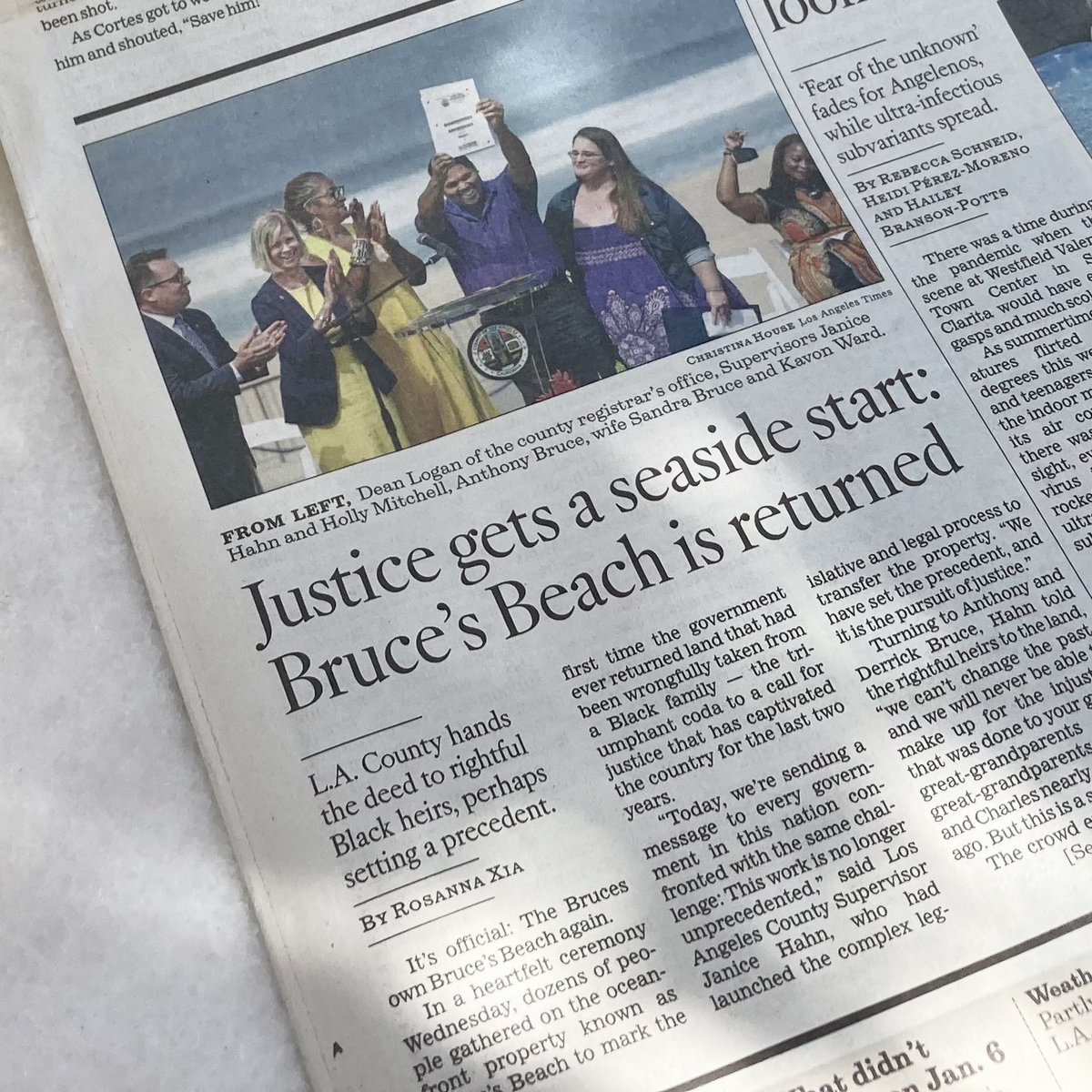 Rosanna Xia tweet media