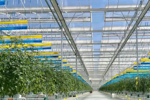 China: Looking into a 73 hectare greenhouse park <a href="/PrivaINT/">Priva Horticulture</a>
hortidaily.com/article/944373…