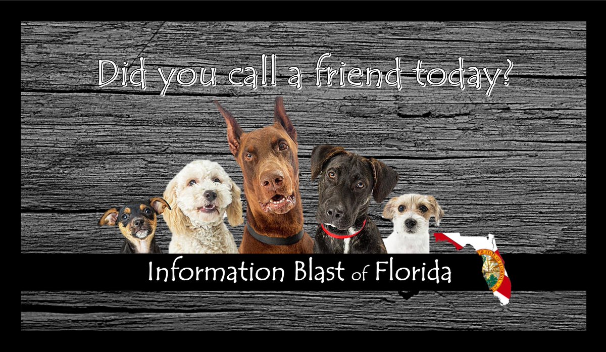 InfoBlastFL's tweet photo. It's THURSDAY! Are you ready to start your weekend? Check on a friend and then check out some of these upcoming events. 

https://t.co/1VCHeOSbzP 

#Veterans #Military #Firstresponders #WomenVeterans #veteranshelpingveterans https://t.co/74P2rczQfk