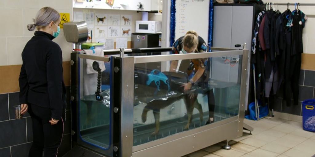 Fitzpatrick Referrals tweet media