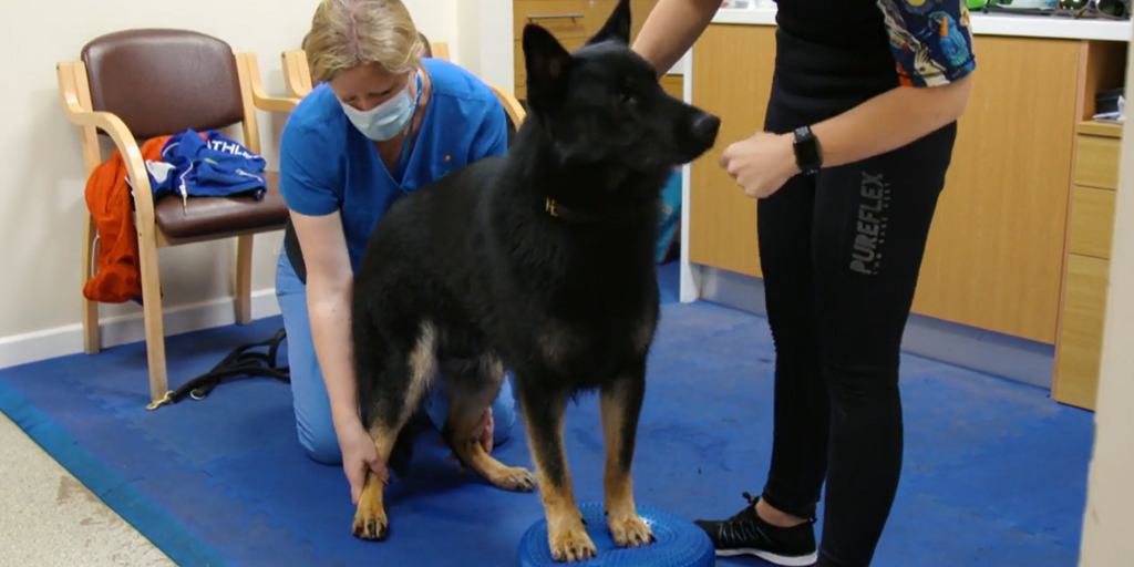 Fitzpatrick Referrals tweet media