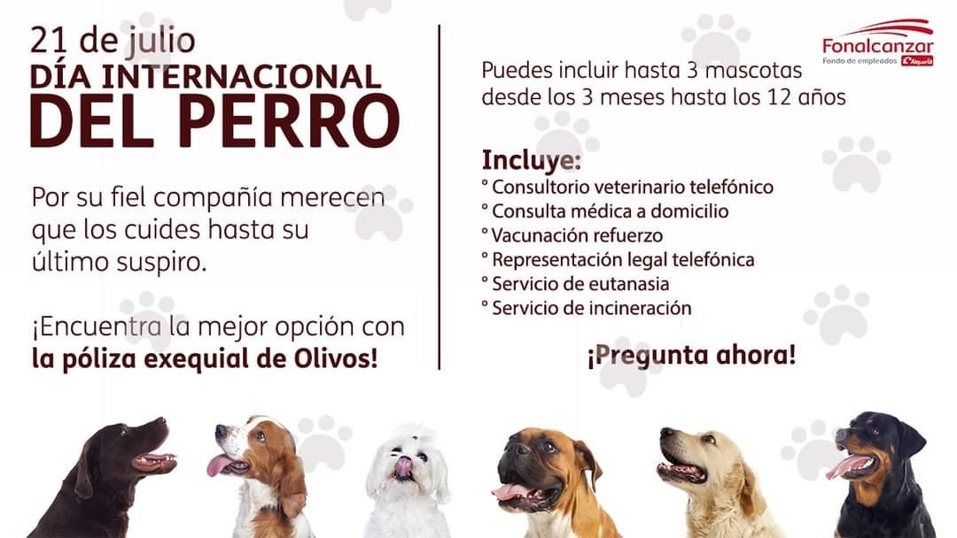 Fonalcanzar_'s tweet photo. Hoy celebramos el Día Internacional del perro, 🐶 nuestro más fiel compañero merece que lo cuidemos hasta su últimos suspiro 😇 conoce los beneficios que traemos para el 🐕#perrofeliz #diadelperro 🥳#YoSoyFonalcanzar 🤍♥️ https://t.co/qhGBUj3nF5