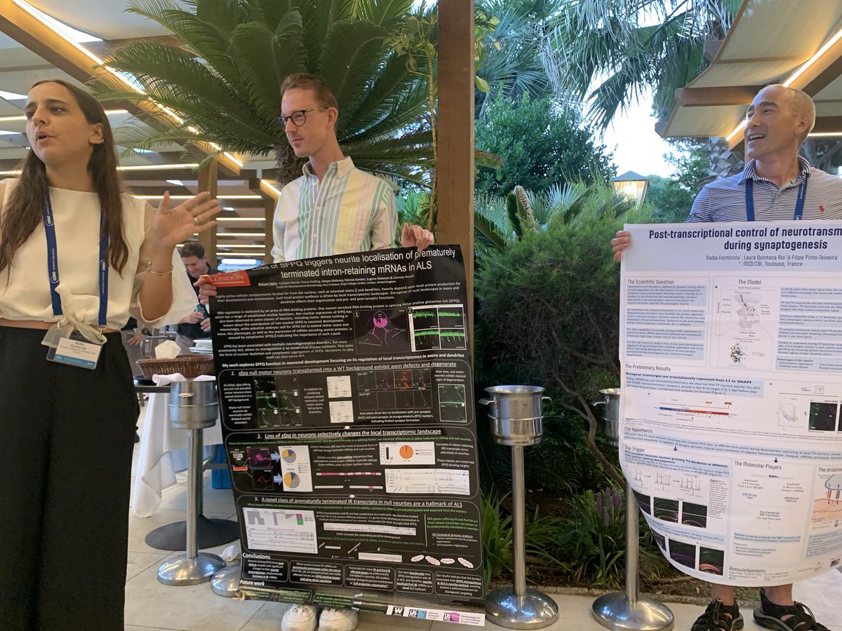 JMTali's tweet image. Poster presentation roulette #EMBOrnaLocalization