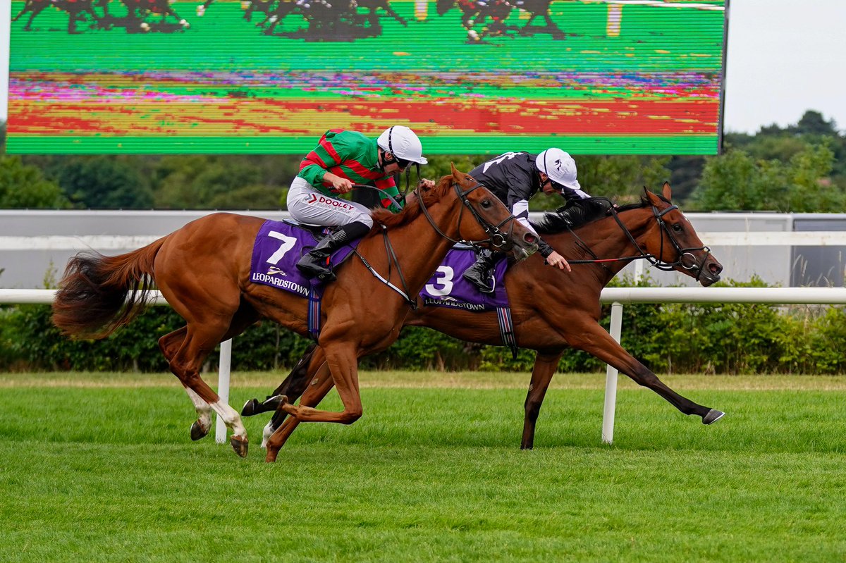 MyRacehorseUK's tweet photo. We are delighted to have secured our first MyRacehorseUK winner as 𝐌𝐚 𝐁𝐞𝐥𝐥𝐞 𝐀𝐫𝐭𝐢𝐬𝐭𝐞 wins nicely on her debut at 𝐋𝐞𝐨𝐩𝐚𝐫𝐝𝐬𝐭𝐨𝐰𝐧 🏇

We cannot wait to see what the future holds! Congratulations to all owners 👏🏻 

#MyRacehorseUk #MRH #Leopardstown https://t.co/gnXZPtS8Qw