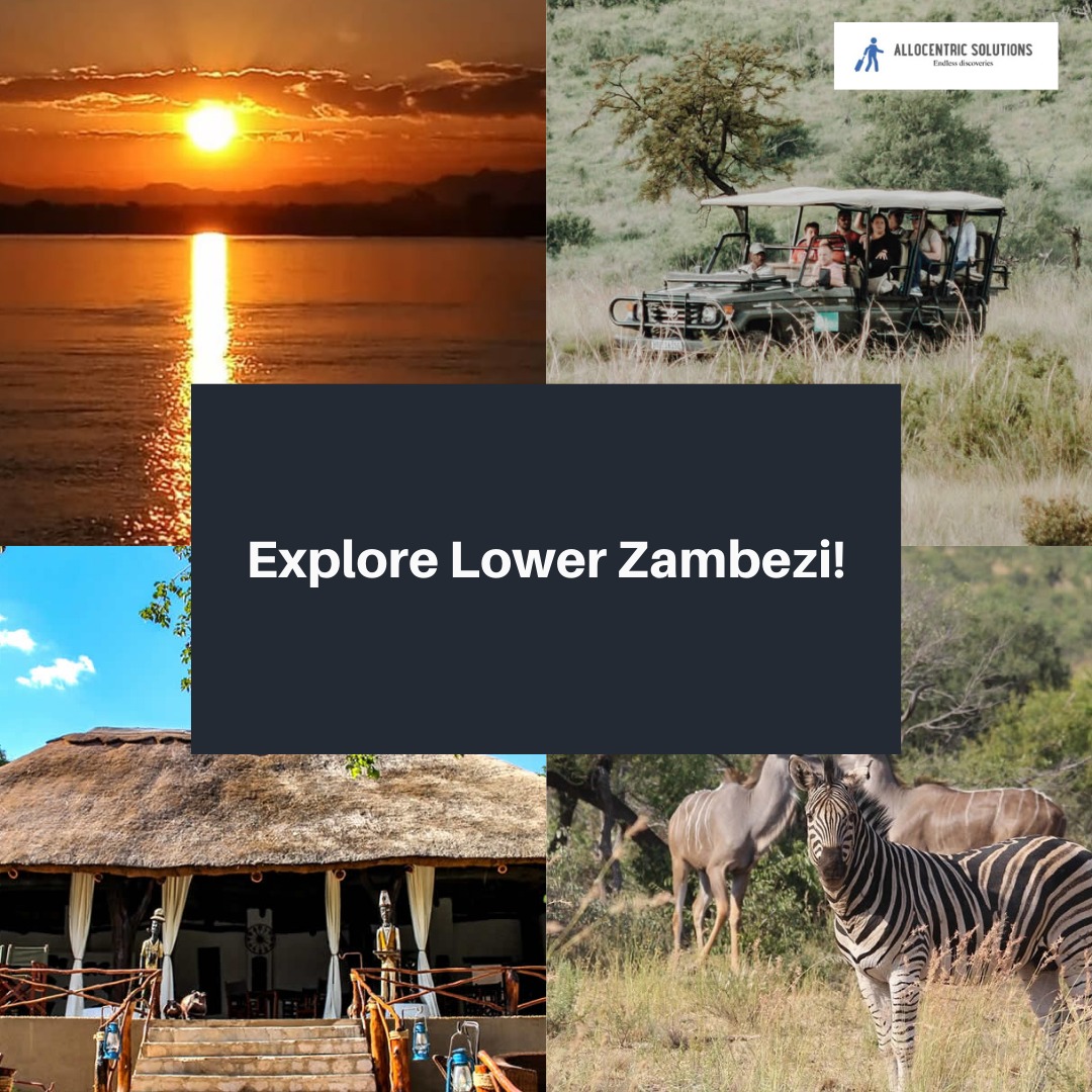AllocentricSol's tweet photo. 🚨LOWER ZAMBEZI GROUP TOUR🚨

Adventure time in Lower Zambezi! 

TRAVEL DATES:
Summer Getaway: 15th to 18th October 2022
November Getaway: 11th to 14th November 2022

Thread https://t.co/7cXoNx0BJA