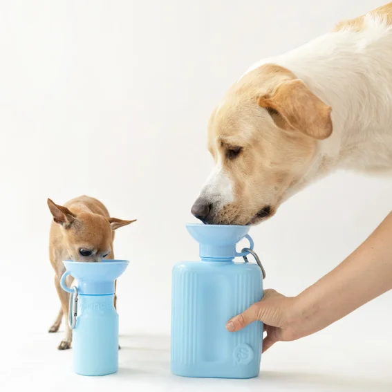 ChampStrategy's tweet photo. @springerpets doggy water bottle that doesn't waste a drop.

Meaning: getting water from a spring or an excited pup.

Very dog/ dog owner lingo focused.

Homepage: Always Game.

... enjoy more time together, and celebrate your dog's favorite playground — Mother Earth https://t.co/SFlMB3OqSm