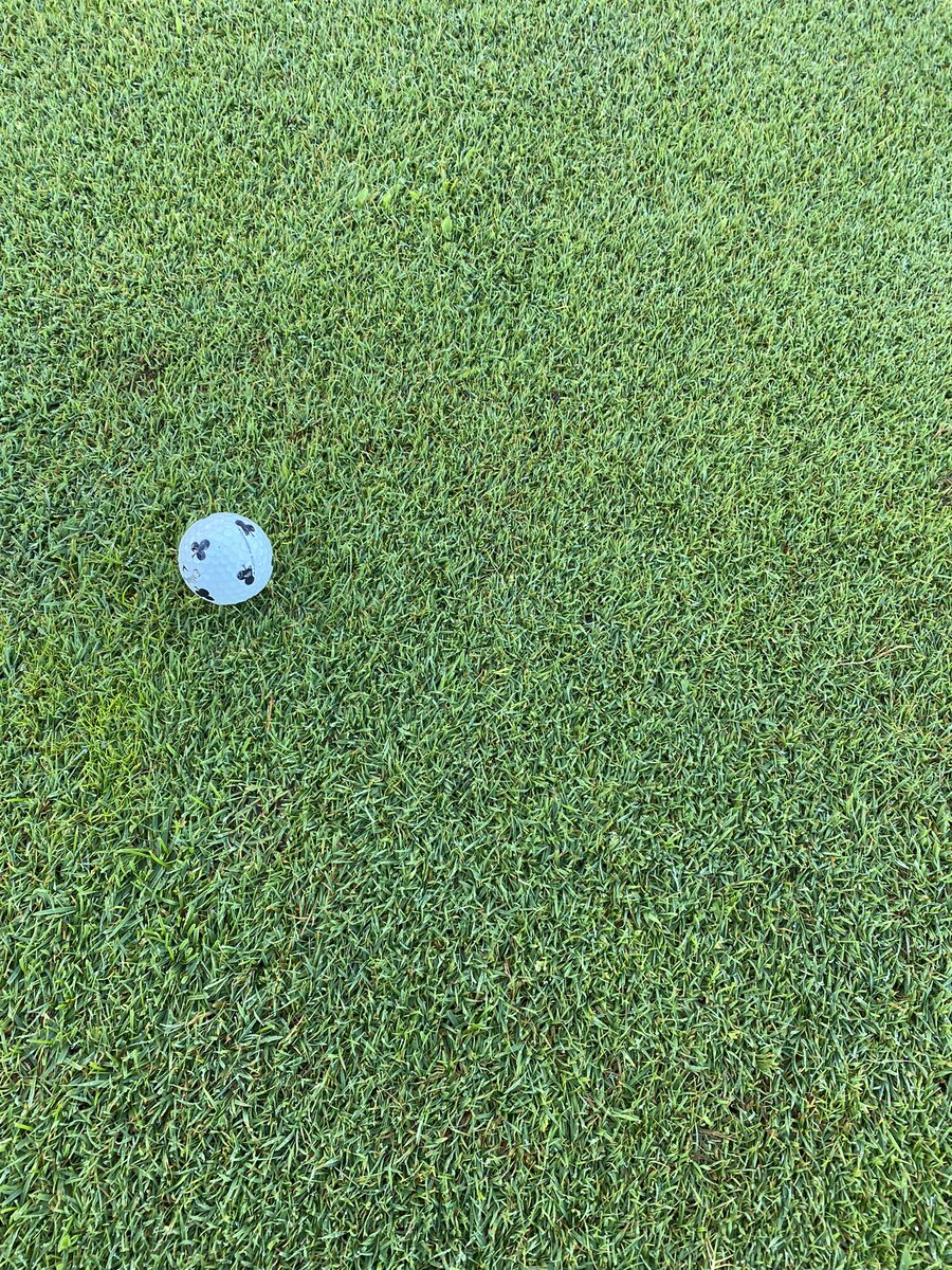 I deleted the original tweet as a good friend colleague of mine who’s opinion I value noted some points that may have been misleading and that is certainly not any of my intent.   I will repost being more specific as to location and the program that this area receives.