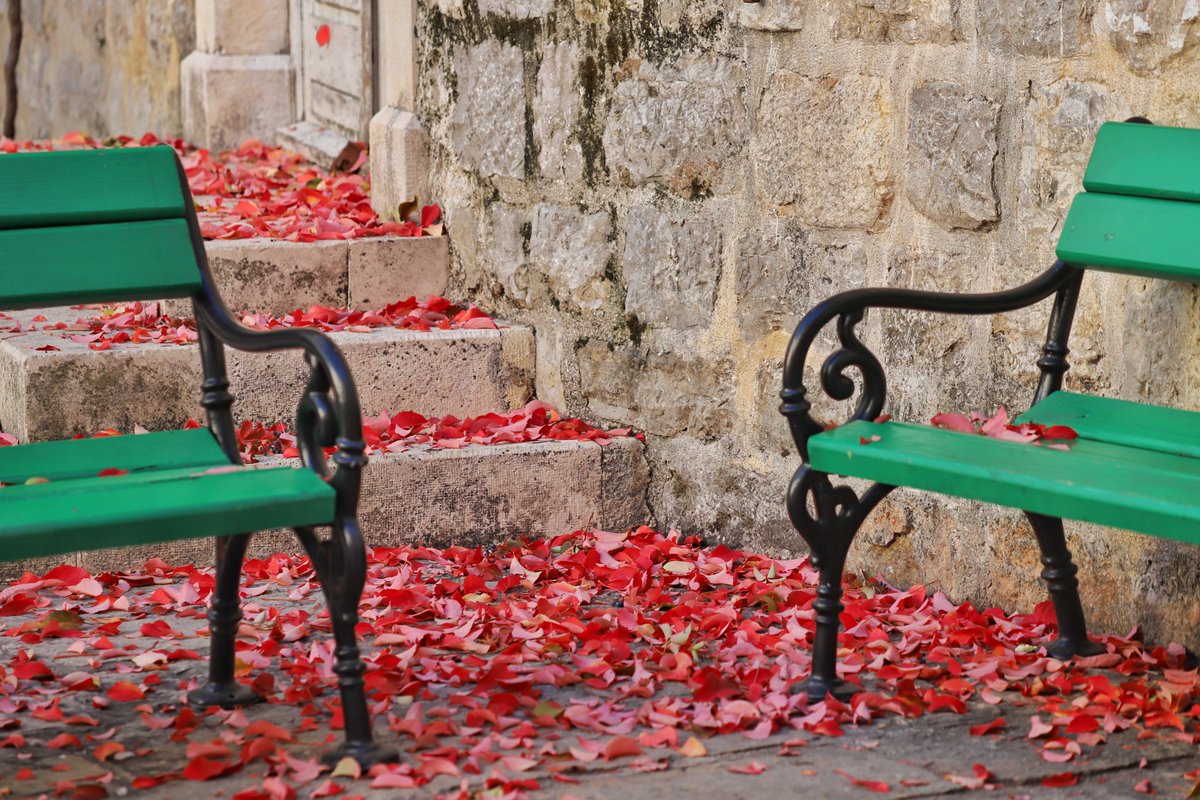 travel_twitch's tweet photo. Who would you sit and talk with here?
#story #experiene #autumn #longtalk
https://t.co/7BjF6RCxKX https://t.co/zQZRm4r8IU