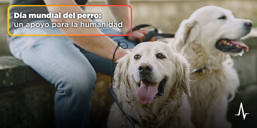 SkyAlertMx's tweet photo. Cada 21 de julio se celebra el #DíaMundialdelPerro 🐶 con el fin de reconocer su compañía y apoyo para la vida de las personas; además, algunos desempeñan importantes trabajos en labores de rescate y salud.

📝Aquí te contamos sobre sus “especialidades”: https://t.co/XLB1g6Kgcq https://t.co/XUGbCdC8MM