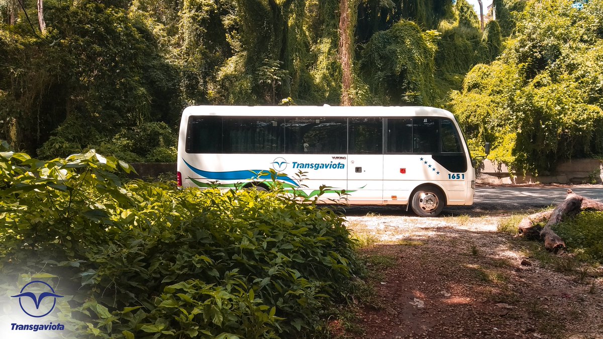 transgaviota's tweet photo. Si su tiempo es oro… Trasgaviota

If your time is money ... Trasgaviota

#TransgaviotaCuba #trip #bus #CubaDestinoSeguro #CubaSafeDestination #RenuevaTuEspíritu #CuentaConNosotros #happy #art #love #carrental #thecreativers #imaginativeuniverse https://t.co/GSKGpgXMo1