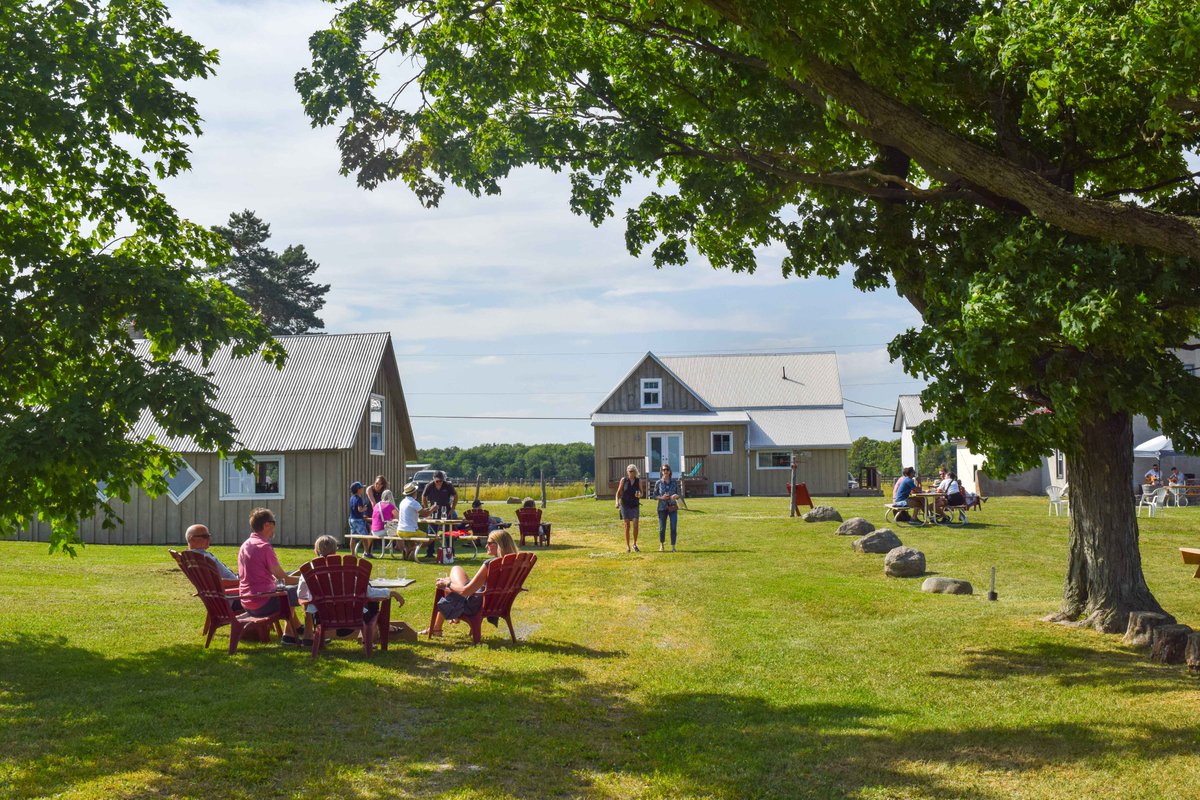 Final #summer #JazzEvent @ExultetEstates featuring #local #guitarist @AaronNash Sun July 31 - 2 sets from 2-3 & 4-5 - #winebytheglass available for purchase #free #outdoor #public #event #CivicHoliday #longweekend