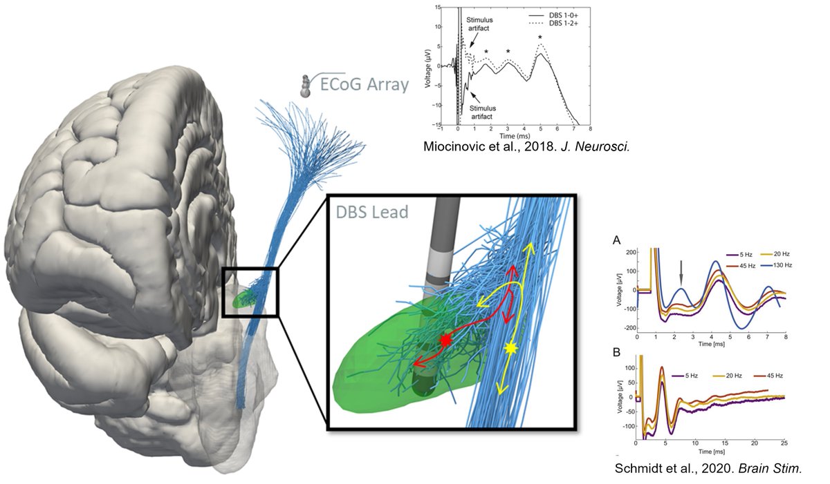Clayton Bingham, PhD tweet media