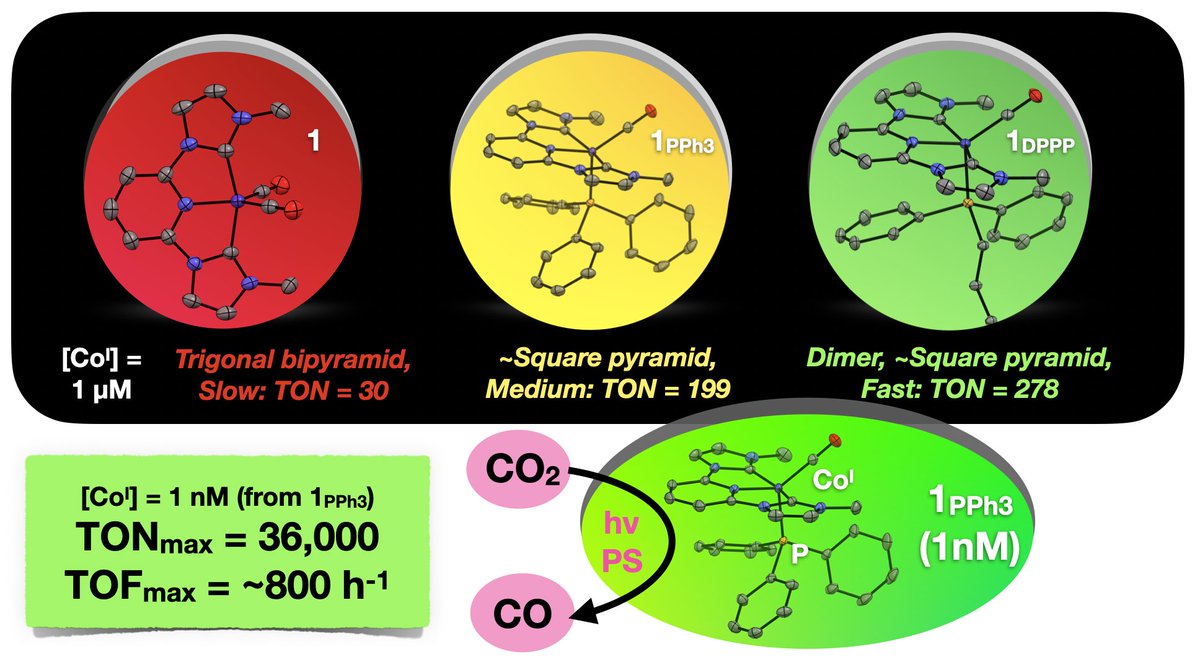 Our latest Co(I) paper - low valent cobalt as a photocatalyst for CO2 to CO reduction - and phosphines accelerate catalysis in multiple ways! pubs.acs.org/doi/full/10.10…