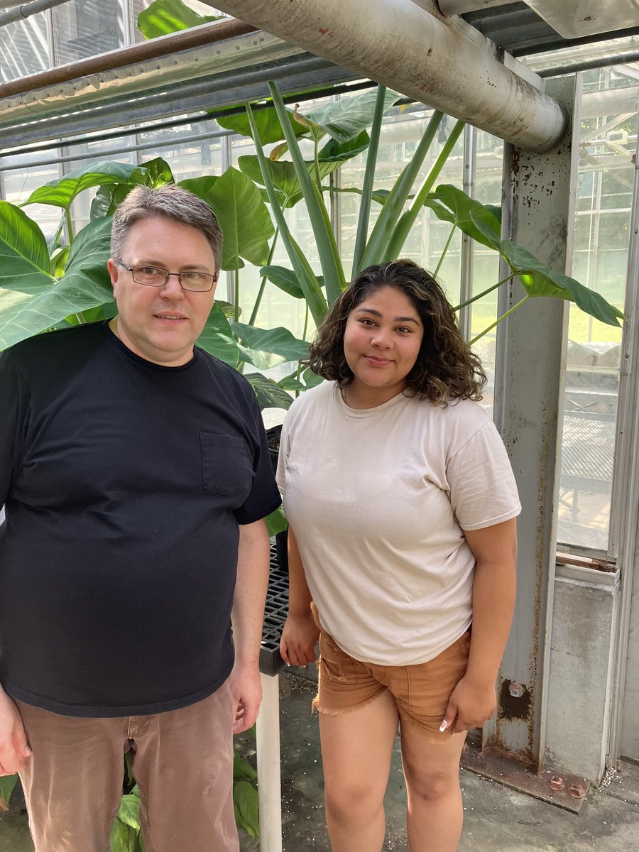 Amy Cook tweet media