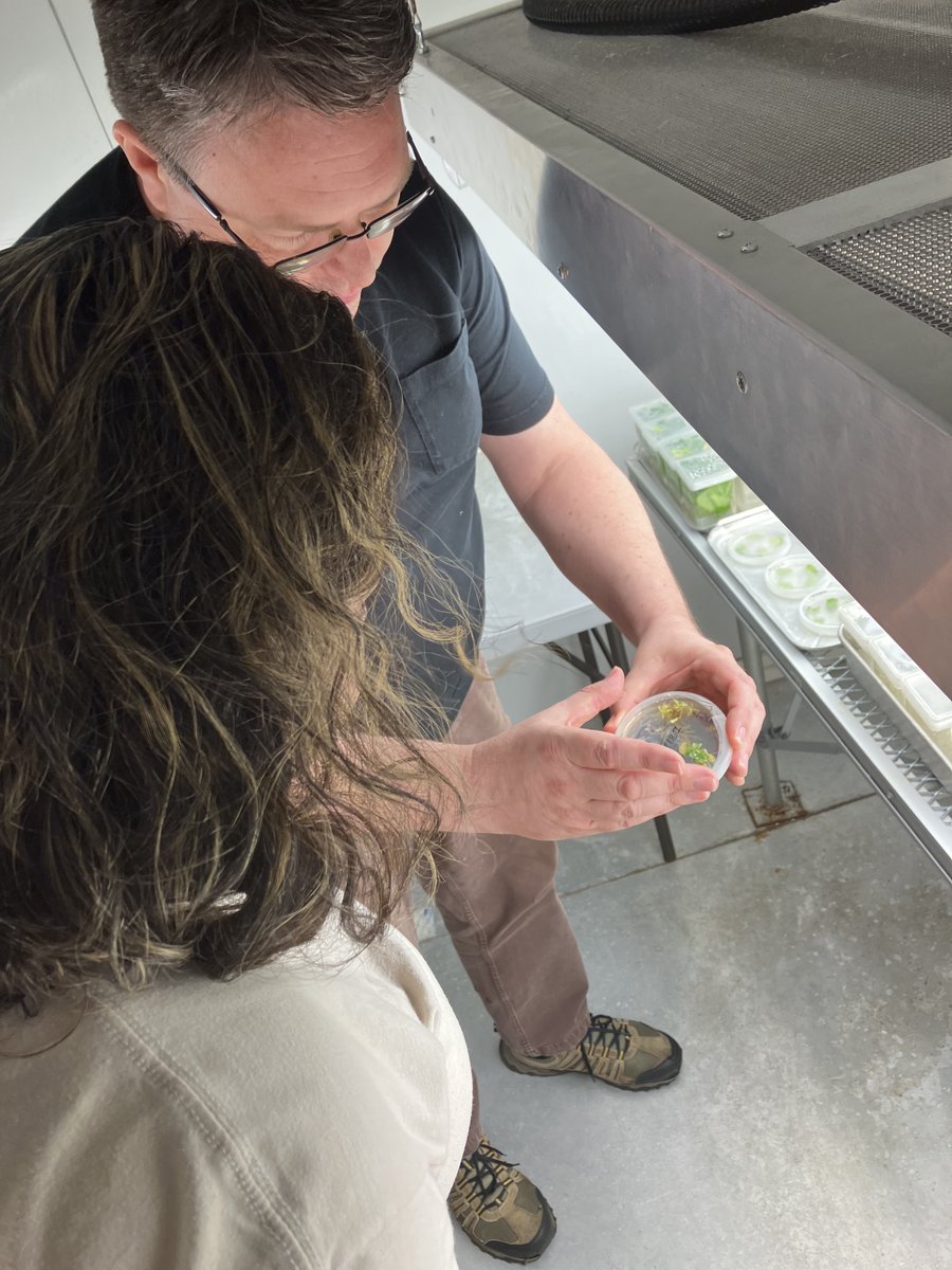 Amy Cook tweet media