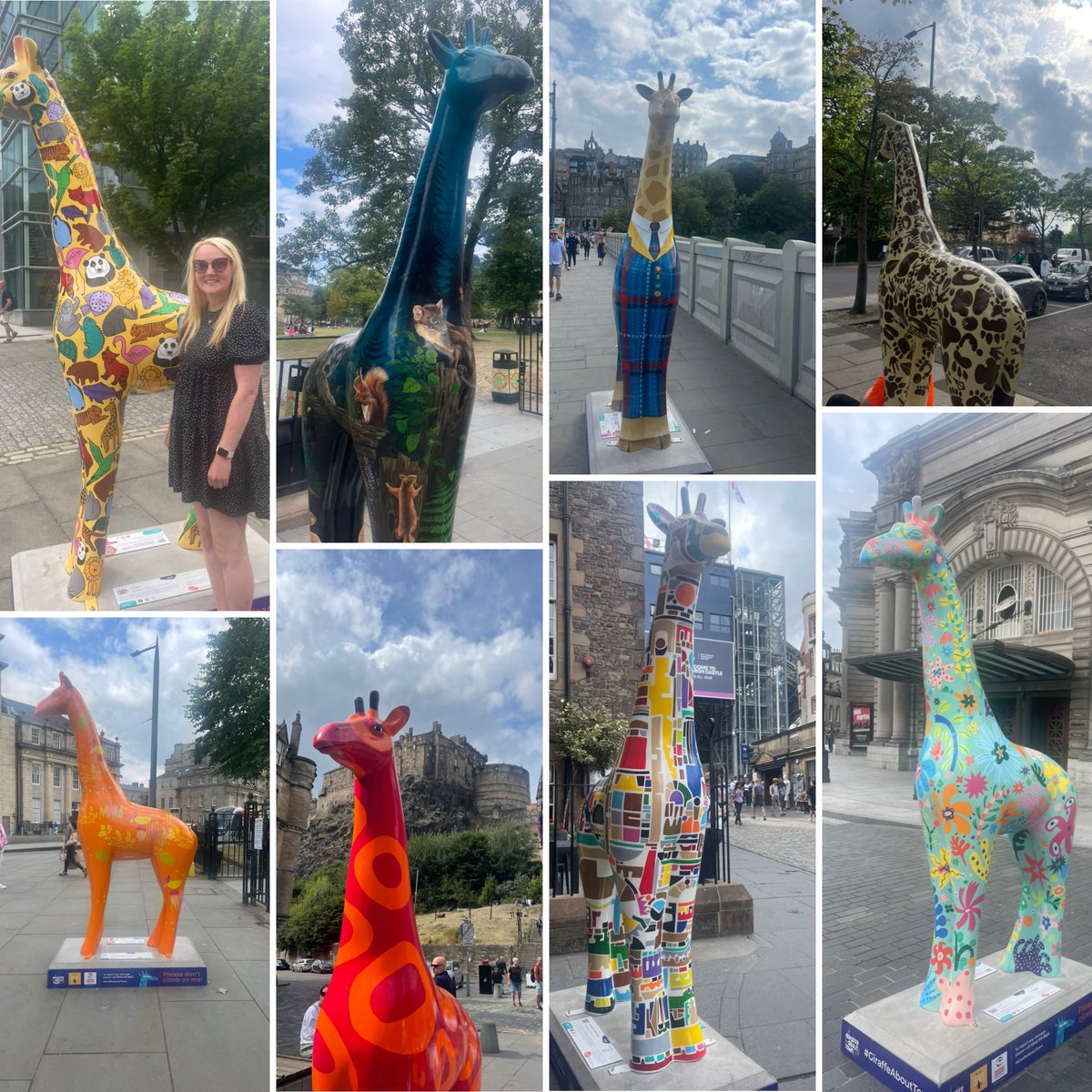 SarahFinlay1x's tweet photo. #GiraffeAboutTown 🦒 https://t.co/2zSEpYjhUi