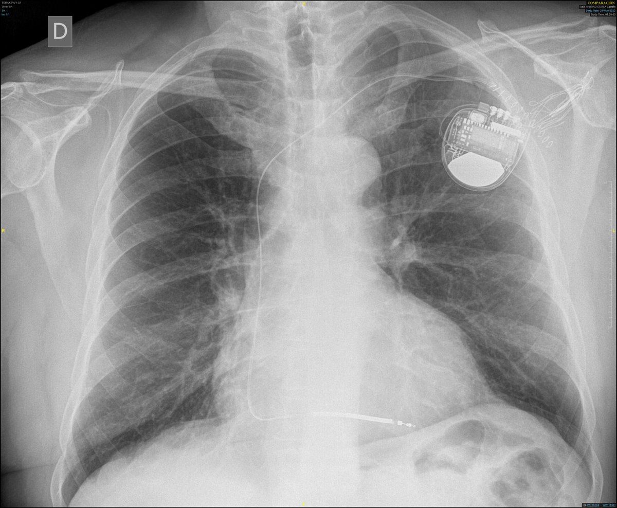 Alejandro Used tweet media