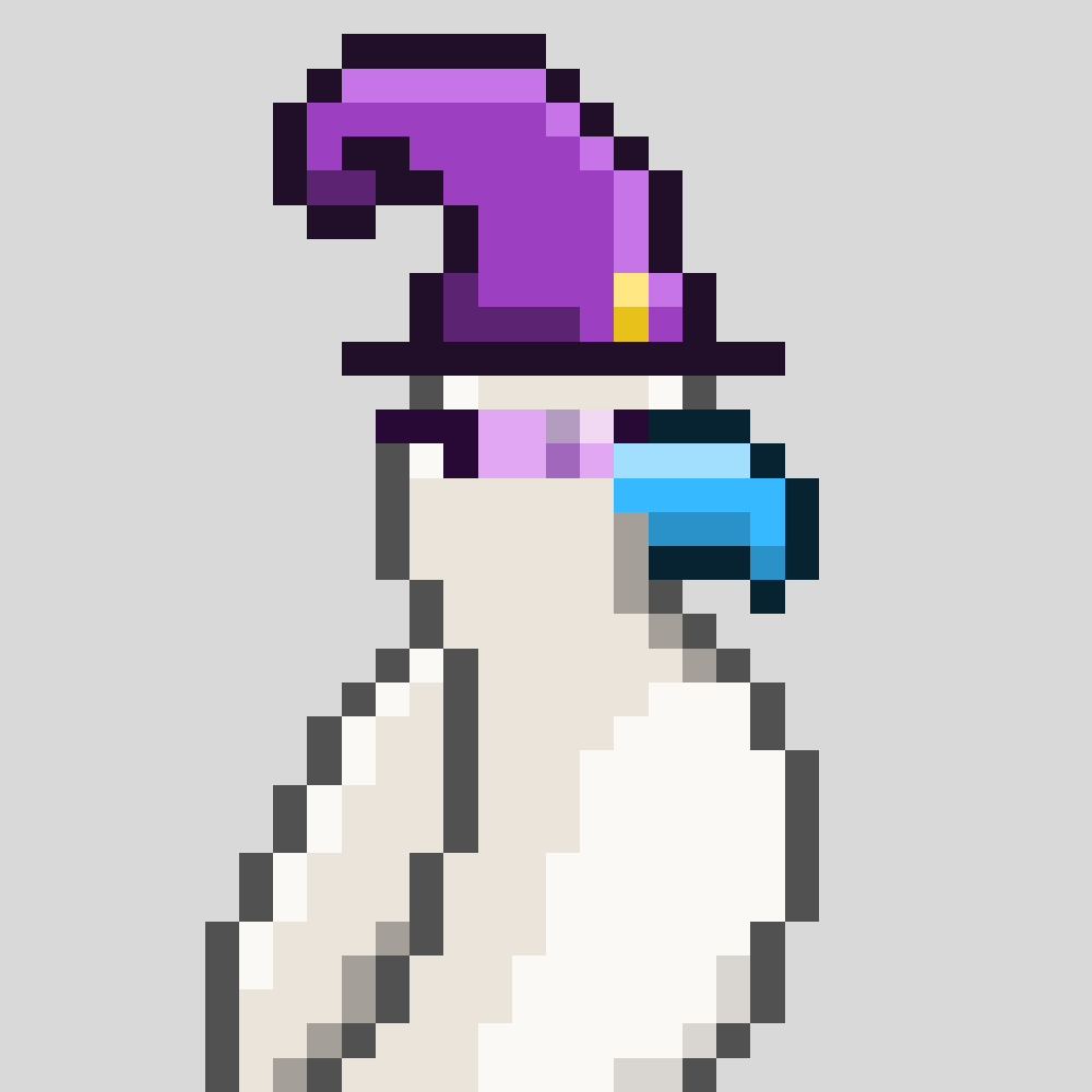 Parrots 🦜 tweet media