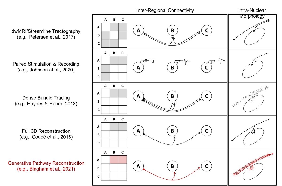 Clayton Bingham, PhD tweet media
