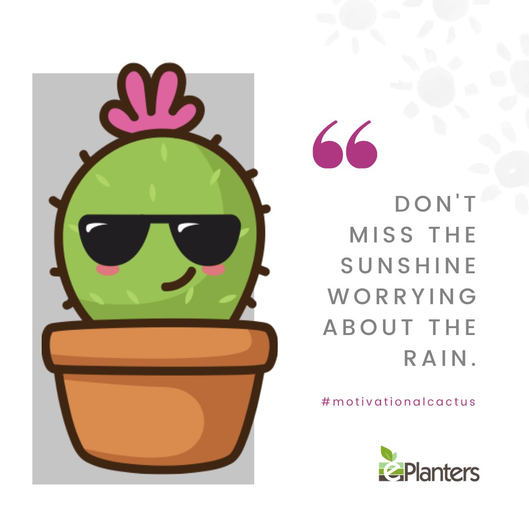 ☀️ #thursdaythoughts #motivationalcactus
