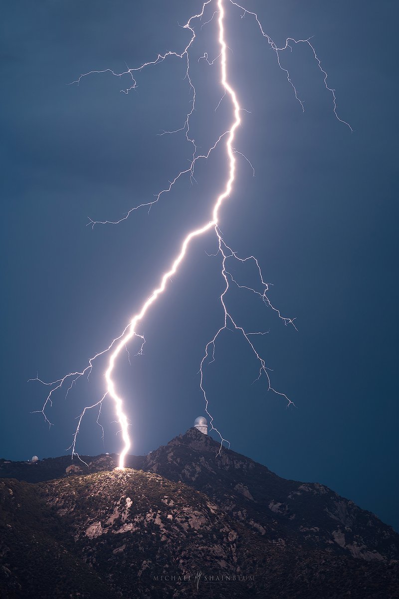Michael Shainblum tweet media