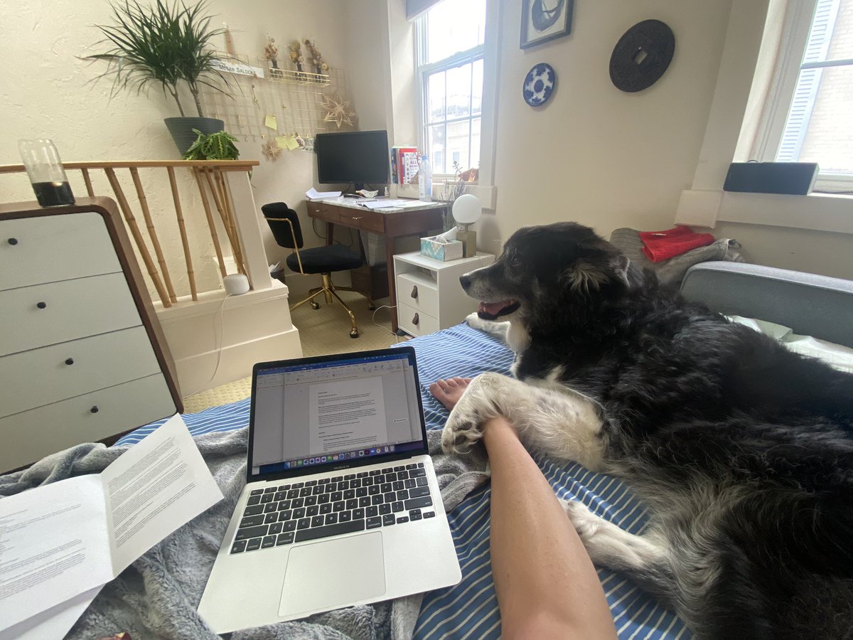 Anyone else WFH and missing the company of silly coworkers? I want to start a daytime slumber party-style WFH gathering. Come and work with Blue and me. We’re quiet, take breaks for belly rubs, and eat tasty snacks. To join, please tell us your fav work snack or tunes.
