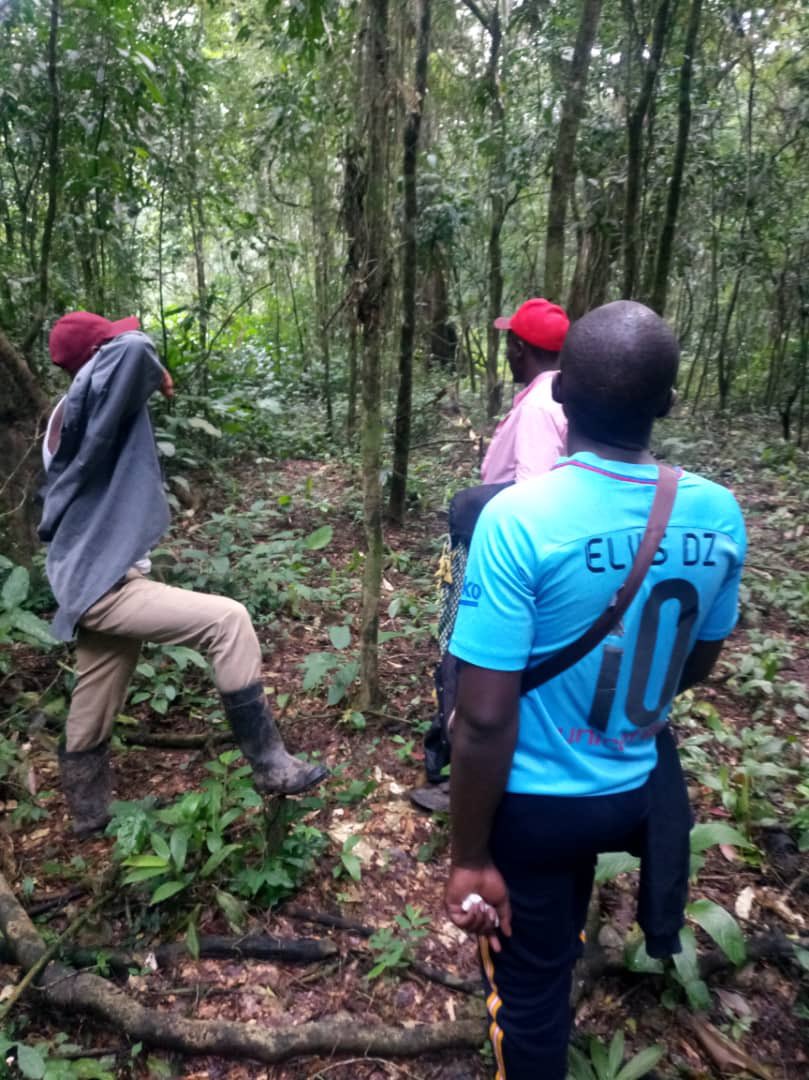AmusantLt's tweet photo. Devoir de Mémoire (3 ans plus tôt), très jeune en revenant au Pays, je m'associais à @Lord_Dzarkos et @KokoloEU et d'autres compatriotes dans un projet agricole.
Objectif : Cacao, Café, Bananes, Manioc et Pastèques.
Congo profond ❤️🇨🇩. https://t.co/TbKuUyvbTh