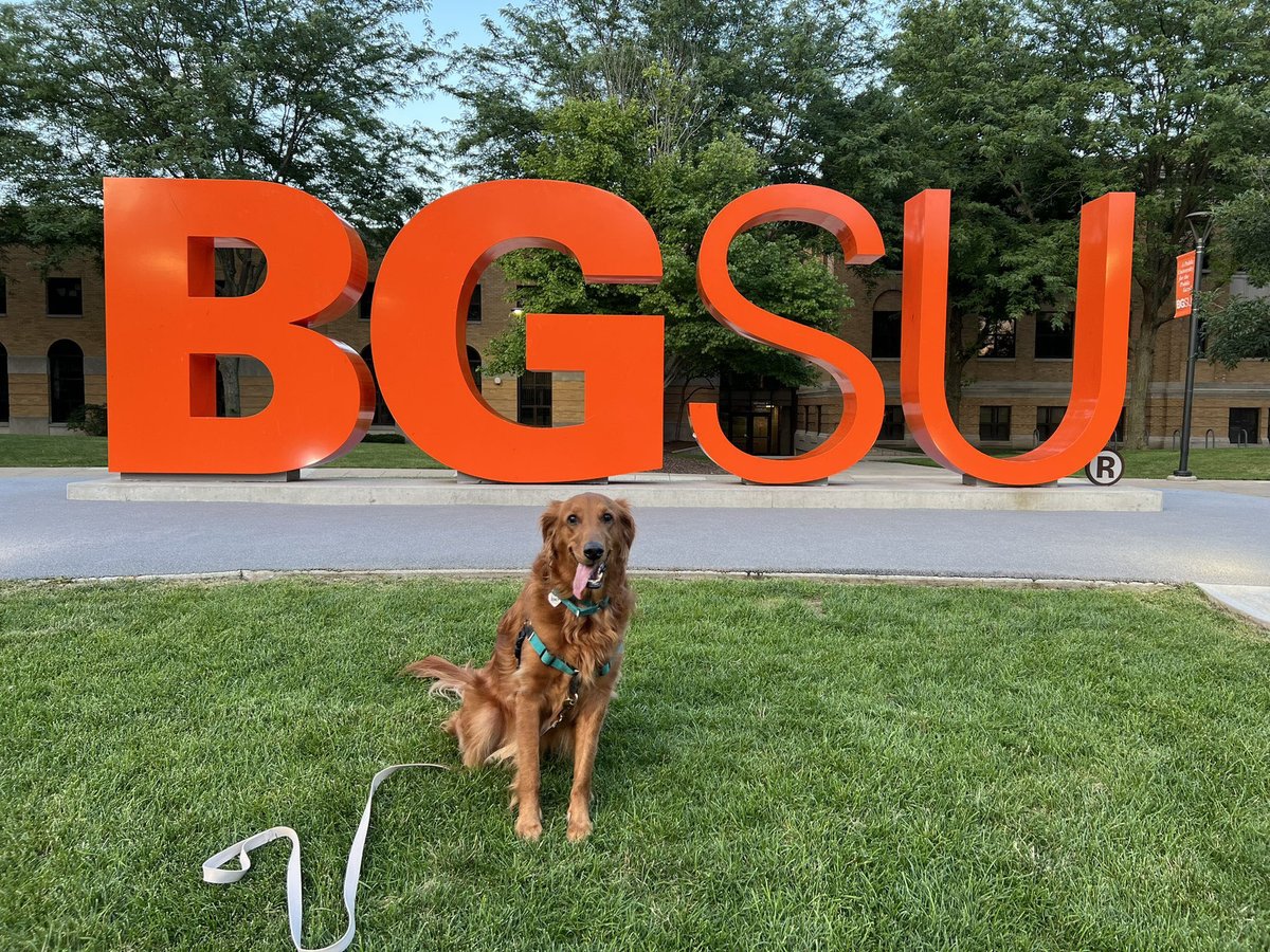 BGPetClub's tweet photo. What a glow up! 😍 Happy 4th Birthday Honey!
📸: @kyleedmond7 https://t.co/4BAznLU4pp