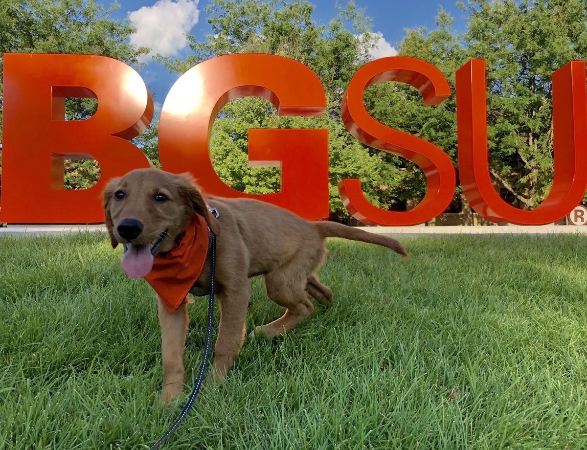 BGPetClub's tweet photo. What a glow up! 😍 Happy 4th Birthday Honey!
📸: @kyleedmond7 https://t.co/4BAznLU4pp