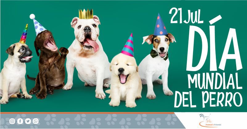 animalsfriends_'s tweet photo. 21 de julio día mundial del perro. Compártenos la foto de tu perrhijo. #díadelperro #díamundialdelperro #perrhijo #puppies #perritos #perrhijos https://t.co/uTXVvDhpgy