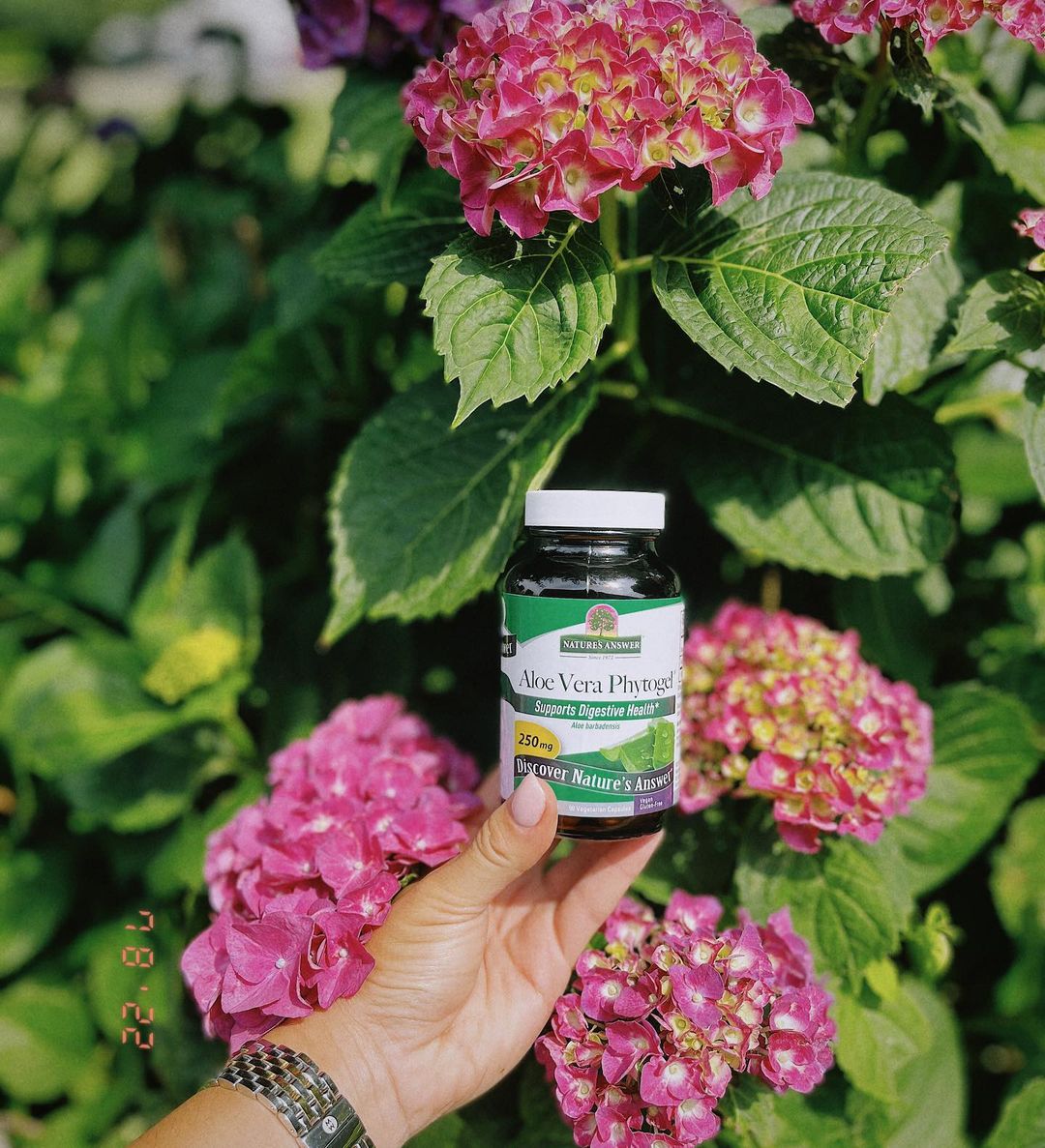 SEE Turtles tweet media