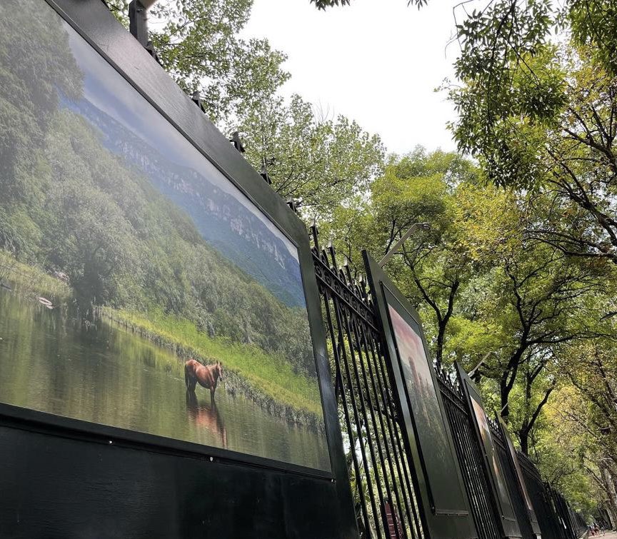 Rada_SC's tweet photo. Amigos, se acaba de inaugurar en Reforma (CDMX) la exposición fotográfica de Sonora “Un Tesoro por Descubrir”, donde varios fotógrafos contribuimos con imágenes de nuestro bello estado. Estarán exhibiéndose hasta el 4 de Sept! Muchas gracias @VisitSonora ! Alla nos vemos pronto! https://t.co/Mj6nT1fZvn