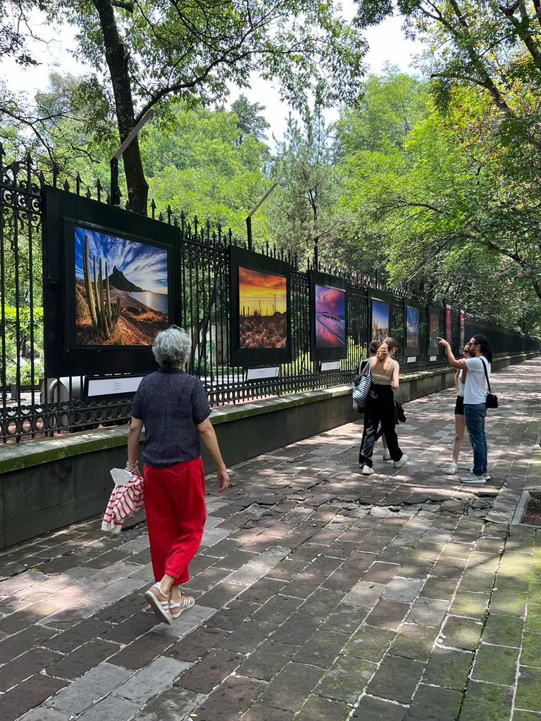 Rada_SC's tweet photo. Amigos, se acaba de inaugurar en Reforma (CDMX) la exposición fotográfica de Sonora “Un Tesoro por Descubrir”, donde varios fotógrafos contribuimos con imágenes de nuestro bello estado. Estarán exhibiéndose hasta el 4 de Sept! Muchas gracias @VisitSonora ! Alla nos vemos pronto! https://t.co/Mj6nT1fZvn