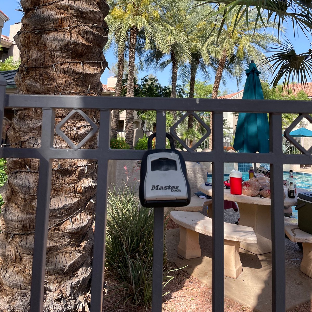 MasterLockUS's tweet photo. Master Lock in the Wild: For over 100 years, our locks and security solutions have provided peace of mind around the world...and that means lots of locks!
Do you see a Master Lock? Share yours in the comments and use the hashtag #MasterLockintheWild.
https://t.co/IBxVAJznHl https://t.co/L1trO5qqrE