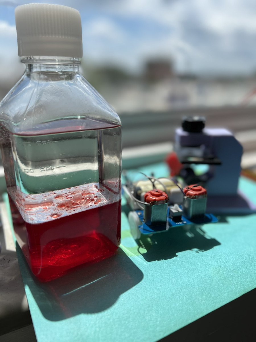 citizenscilab's tweet photo. Science is like magic 🪄 but real! 🤯 🧬⚗️🔬🧫🔭🧪#Science #STEM #thecitizensciencelab #STEMPIRE https://t.co/PJ3gc8Uwnq