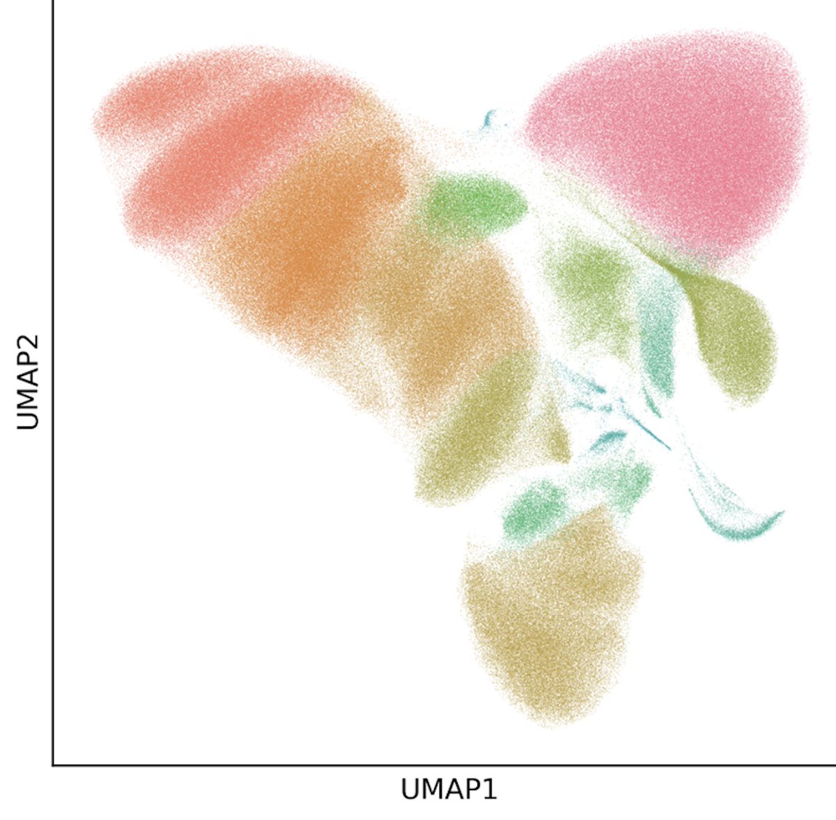 1/ We previously generated a 1M cell scRNA-seq dataset with 24 Type1 Diabetes/Control PBMC samples. Now Daniel Diaz, one of our Bioinformatics Application Scientists, has built a tutorial showing how you can easily analyze this dataset using existing single cell tools.