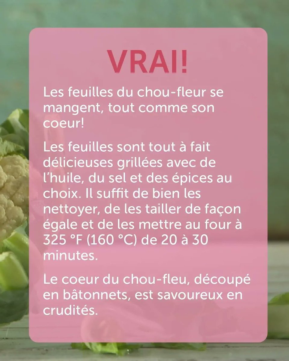 VoumhT's tweet photo. Une autre belle façon de réduire le gaspillage alimentaire! 👌

Ce Vendredi, on vous montre toutes sortes de trucs et astuces pour manger des pelures, des fanes et des feuilles de fruits et légumes.

#Voum #superapp
#lesaviezvous #choufleur #gaspillagealimentaire https://t.co/kf3MIVzBOb