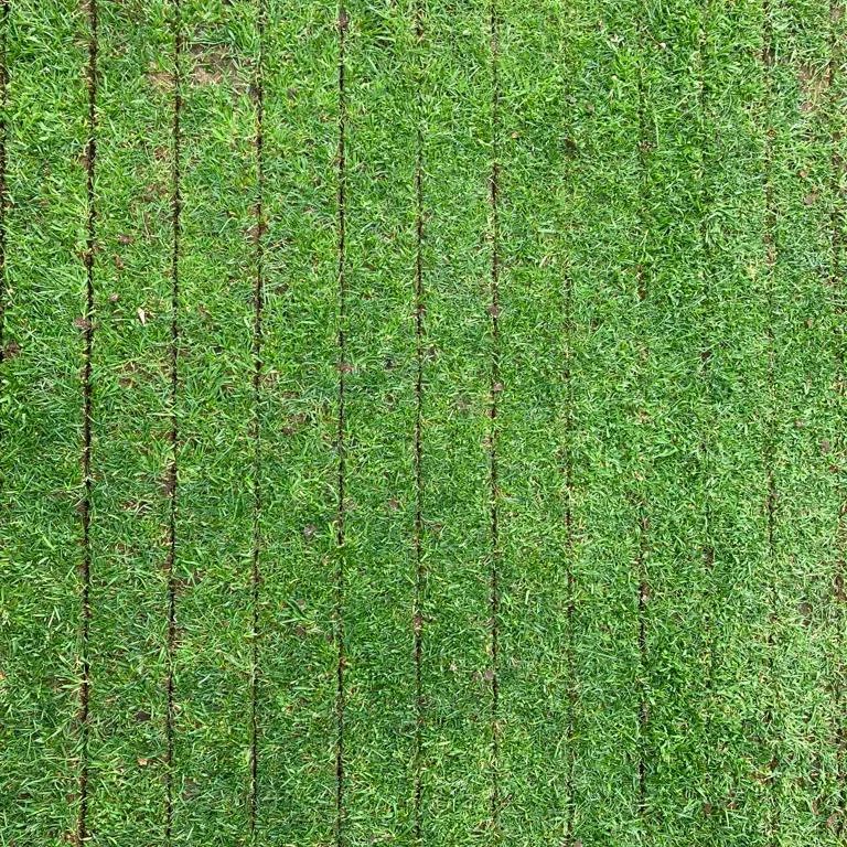 NealHussey's tweet photo. @RedeximUK 1575 Overseeder demo by @TallisAmosTurf 
☎️ 07790 369645 for additional information! Thanks as always to @aoneill1980 for great dealer support! https://t.co/9a4Ir9FVbD