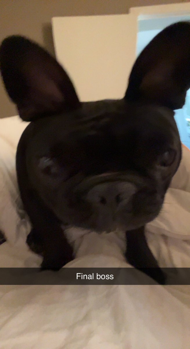 Fredrik Karlsson tweet media