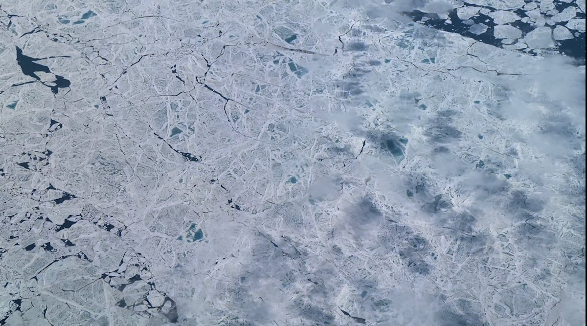 NASAEarth's tweet photo. Field experiments are all about going with the floe. 🧊

Join @NASA_ICE scientists on a flight over the Arctic Ocean to measure the height of the ice, snow, melt ponds and open ocean below.

Read the blog: https://t.co/CPYR87x5Fk https://t.co/oIGzDHmGc9