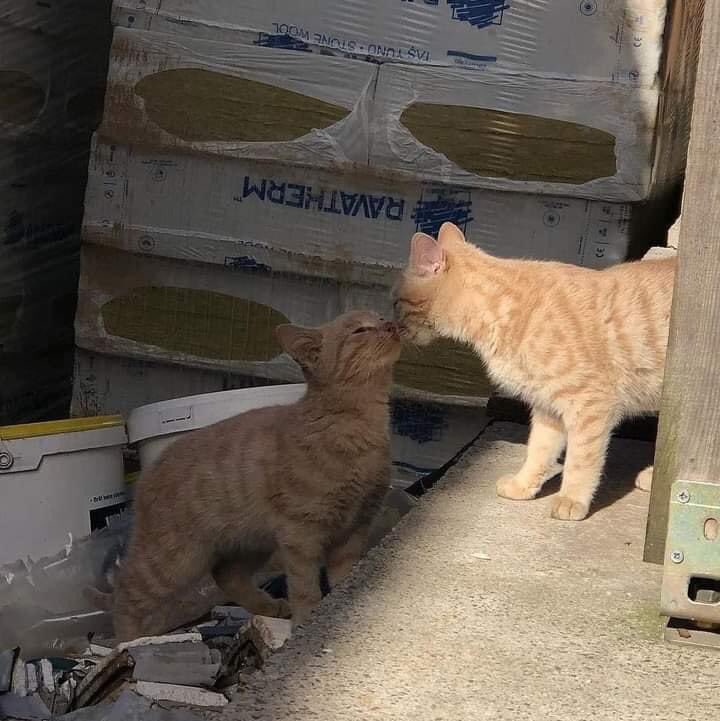 _10world's tweet image. 