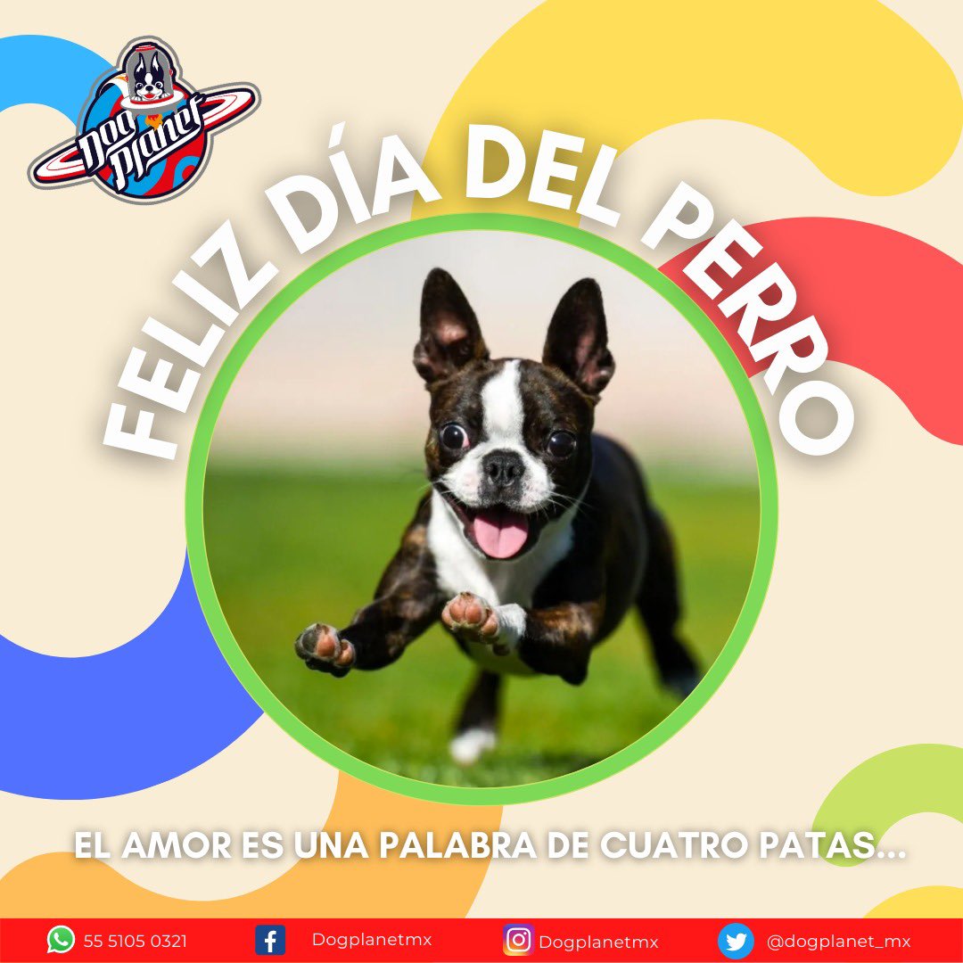 dogplanet_mx's tweet photo. ¡Siempre demostrándonos su amor! Incondicionales amigos hoy en su día #FelízDíadelPerro #DogPlanet https://t.co/7LJNuS7IsQ