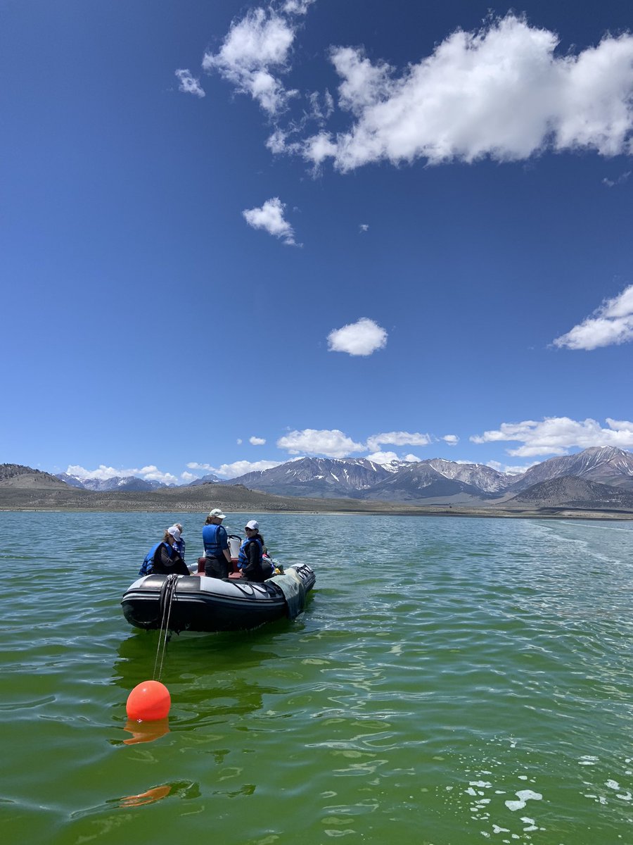 MAGgie_Langwig's tweet photo. Officially completed the #geobiology22 course with some amazing people and scientists. So grateful for this opportunity (shout out to @KarthikGeomicro) and excited for the future of the field 🔬🛠🧑‍🔬 https://t.co/IYJcWz5De5