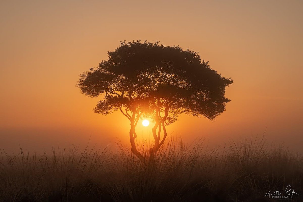 Jn_7L's tweet photo. Just a sunrise https://t.co/4e2G2qUMk1
