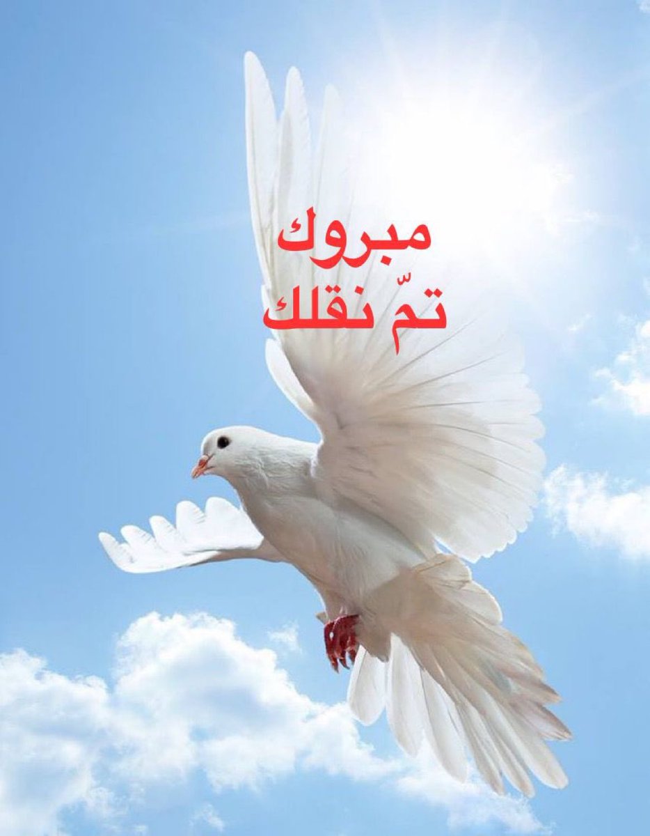 wafa259's tweet photo. يارب https://t.co/qdWyufjLay