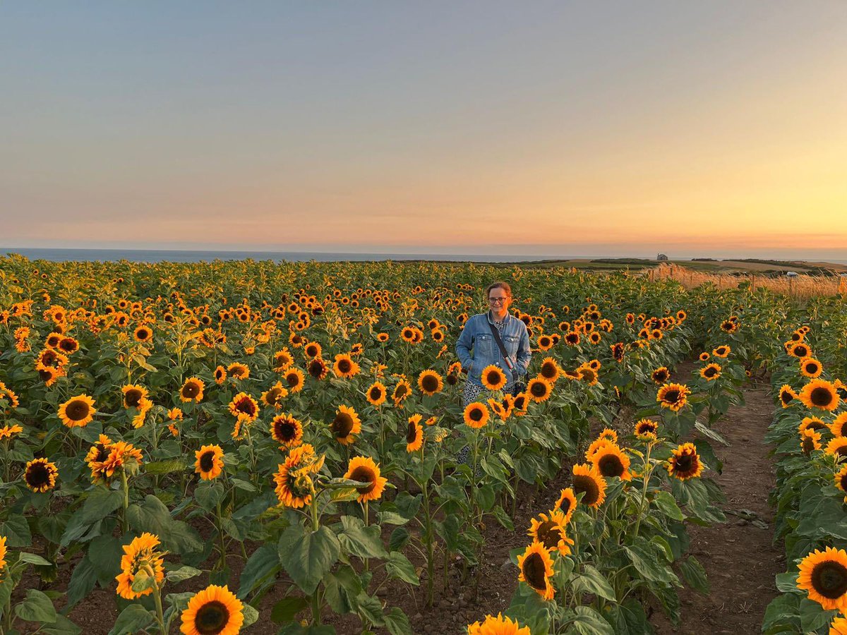 ladypuddy's tweet photo. After years of wanting to go, last night we made it. And I loved it π #rhosilli #sunflower #wales #westwales https://t.co/RTTz39QgqD