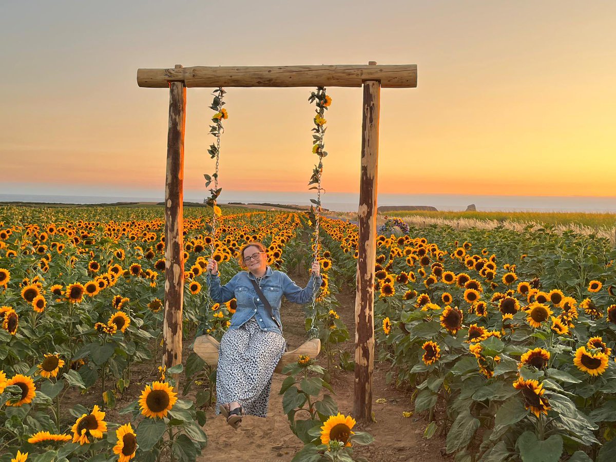 ladypuddy's tweet photo. After years of wanting to go, last night we made it. And I loved it π #rhosilli #sunflower #wales #westwales https://t.co/RTTz39QgqD