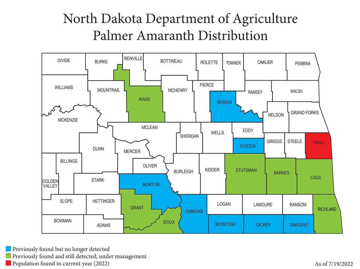 Thostenson's tweet photo. Not good. 

Palmer amaranth found in Traill County https://t.co/91kC85KzMo