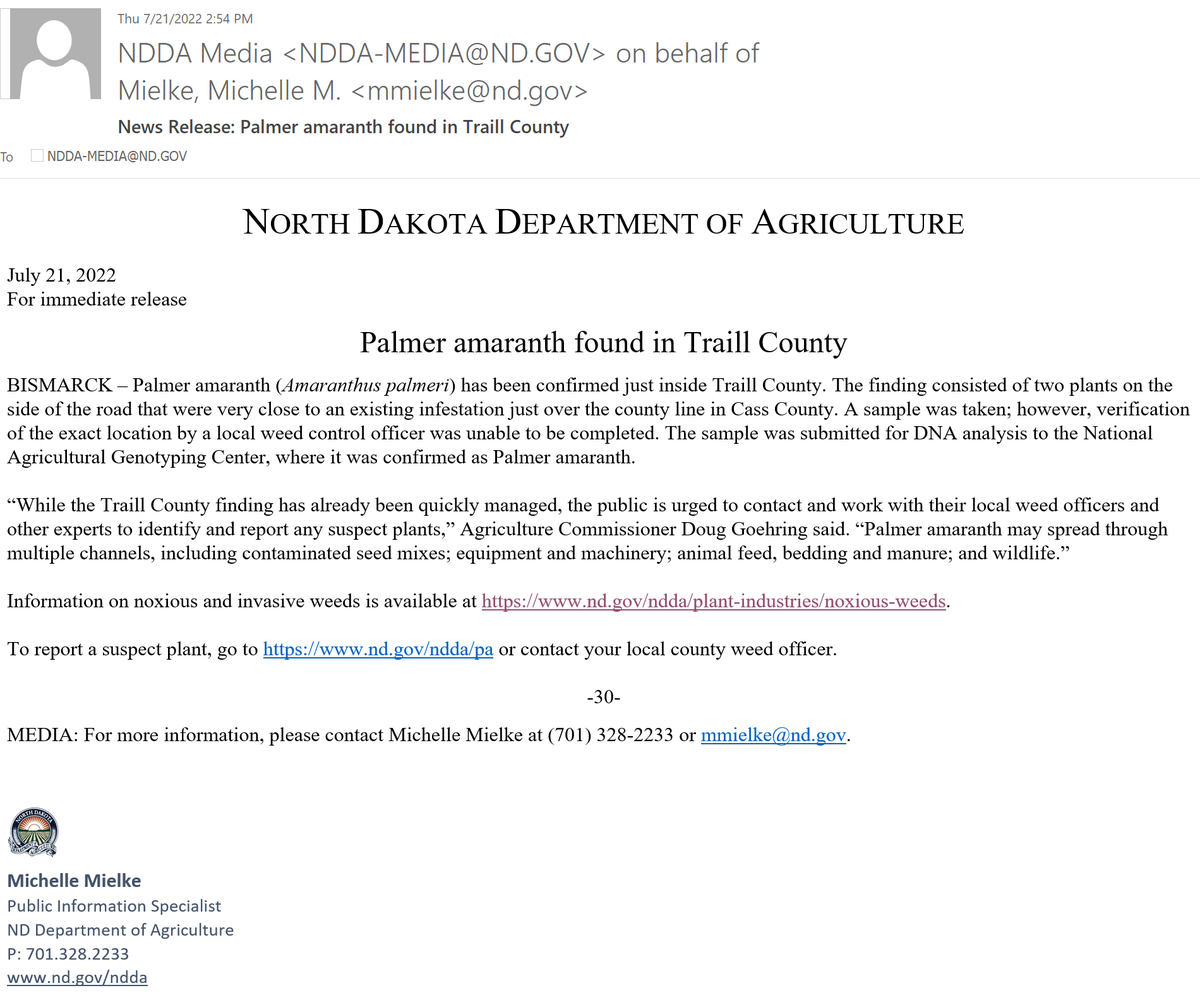 Thostenson's tweet photo. Not good. 

Palmer amaranth found in Traill County https://t.co/91kC85KzMo
